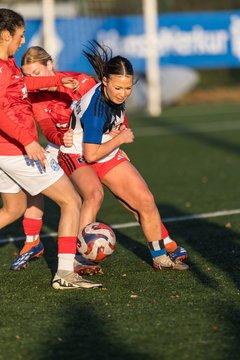 Bild 252 - wBJ Hamburger SV - Holstein Kiel : Ergebnis: 8:0